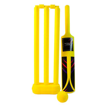 Small Cricket Kit for Boys & Girls, Cricket Set with 1 Cricket Bat, 1 Plastic Ball, Bails, 3 Stumps with Stand Base - dailyneed.life