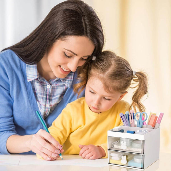 2 Layer 5 Compartment Desk Organizer with Transparent Drawer (1 Pc / 15×13×11 Cm) - dailyneed.life
