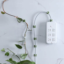 Plant Climbing Wall Fixture Clip Self-Adhesive Hook (200 Pcs Set) - dailyneed.life