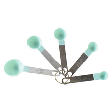 Stainless Steel and Plastics Measuring Spoon (Set of 5 Pc) - dailyneed.life