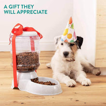 Automatic Pet Food Dispenser Self-Dispensing Pet Feeder Food Dispenser - dailyneed.life
