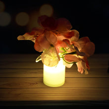 LED Mood Lights Bedroom Interior Decor Lighting, Diwali (12 Pcs Set) - dailyneed.life