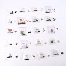Seeds 20 Varieties of Flower Seeds Combo (1 Pkt / 20 Varieties) - dailyneed.life