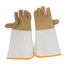 Garden Gloves for Gardening Work (1 Pair / B Grade / Big) - dailyneed.life