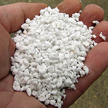 Paradise Perlite for Hydroponics & Horticulture Terrace Gardening Soil Conditioner (250 GM) - dailyneed.life