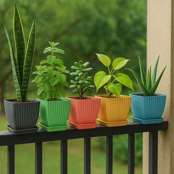 Trendy Square Plastic Flower Pots Set of 5 - dailyneed.life