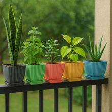 Trendy Square Plastic Flower Pots Set of 5 - dailyneed.life