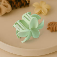 Matte Finish Hair Claw Clip (1 Pc / Mix Color) - dailyneed.life