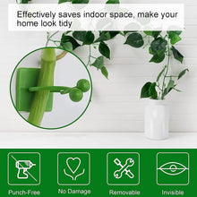 Plant Climbing Wall Fixture Clip Self-Adhesive Hook (100 Pcs Set) - dailyneed.life