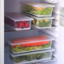 Vegetables & Fruits Freezer Storage Container (PACK OF 6PC 1500ML) - dailyneed.life