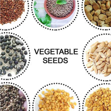 15 Varieties of Vegetable Seeds Combo (1 Pkt. / 15 Varieties) - dailyneed.life