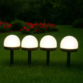 Dome Solar Garden Light Set (4 Pc) - dailyneed.life