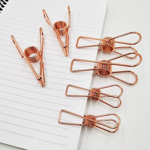 Stainless Steel Multipurpose Sturdy Clothes Hanging Clips - dailyneed.life