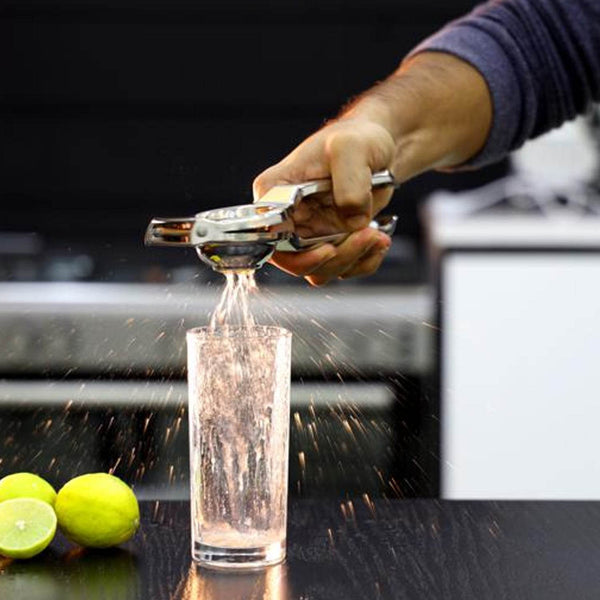 Stainless Steel Lemon Squeezer for Efficient Juice Extraction - dailyneed.life