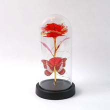 Elegant LED Eternal Rose in Plastic Dome (1 Pc / Battery Not included) - dailyneed.life