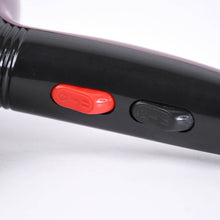 Professional High Power Multi Purpose Hair Dryer Salon (220V,50-60Hz / 1 Pc) - dailyneed.life