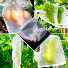 Protective Garden Barrier Cover for Bag, Plants, Grapes, Figs, Flowers, and Vegetables - dailyneed.life