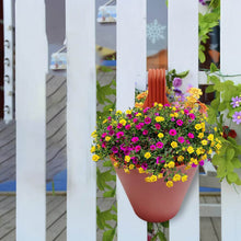 Hanging Planter Pot used for storing and holding plants and flowers in it and this is widely used in in all kinds of gardening and household places etc. - dailyneed.life