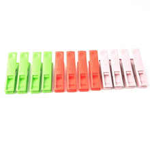 Durable Cloth Clips Set of 12 – Strong Grip Plastic Laundry Pegs with Stainless Steel Spring - dailyneed.life