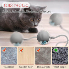 Rechargeable Interactive Cat Toy Ball with Detachable Braided Tail and LED Light (1 Pc) - dailyneed.life