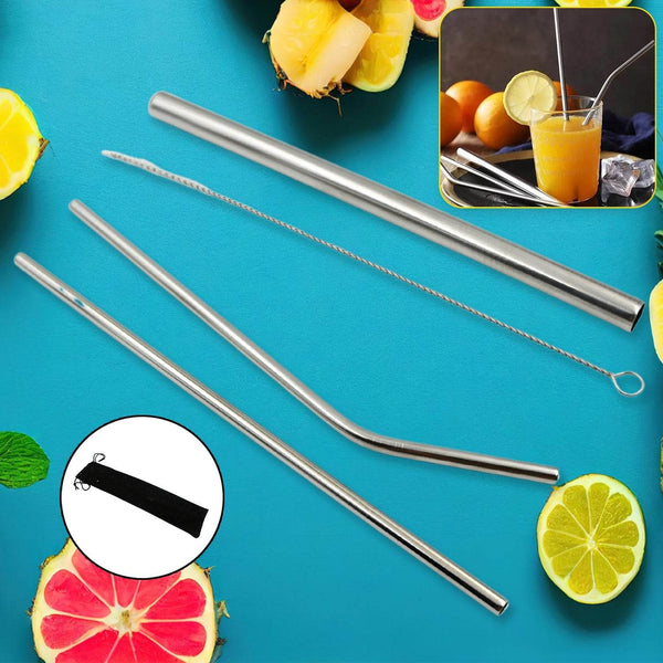 Reusable Stainless Steel Straws with Case for Drinking (4 Pc, Eco-Friendly) - dailyneed.life