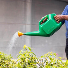 Plastic Watering Can Water Sprayer Sprinkler for Plants Indoor Outdoor Gardening, 5 LTR - dailyneed.life