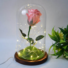 Glass Flower with Led Light Great Gift (1 Set) - dailyneed.life