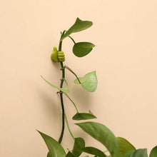 Green Multifunctional Multi functional Hand Shape Wall Clip Hanger Keys Cable Holder - dailyneed.life