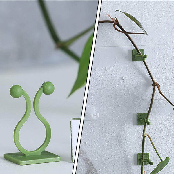 Plant Climbing Wall Fixture Clip Self-Adhesive Hook (200 Pcs Set) - dailyneed.life