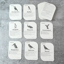 KidKraft Early Learner Educational Flashcards – 32 Birds - dailyneed.life
