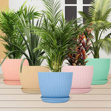 Plastic Flower Pot with Bottom Tray (5 Pcs Set) - dailyneed.life