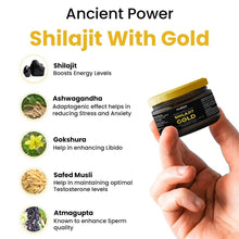 Himalayan Shilajit Gold Resin – 20g | Helps improve Stamina | Contains Gold - dailyneed.life