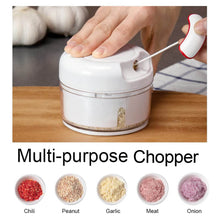 Manual Mini Food Processor Vegetable Chopper Hand Pull String Onion Chopper (1 Pc) - dailyneed.life