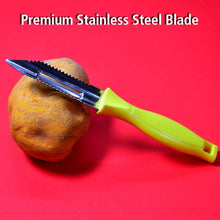 Ganesh Stainless Steel Classic Peeler - dailyneed.life