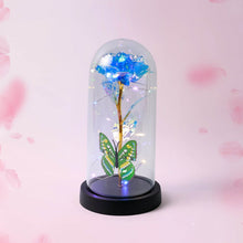 LED-Powered Eternal Rose in plastic Dome (1 Pc / Battery not Included) - dailyneed.life
