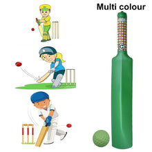 Plastic Cricket Bat Ball Set for Boys and Girls - dailyneed.life