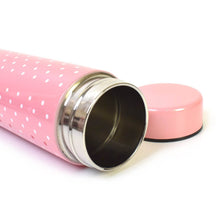 Water Bottle for Kids – Insulated Stainless Steel Bottle (300 ML / 1 Pc) - dailyneed.life