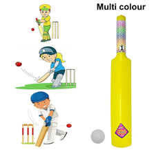 Plastic Cricket Bat Ball Set for Boys and Girls - dailyneed.life