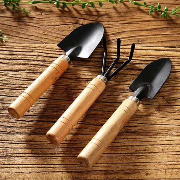 Small sized Hand Cultivator, Small Trowel, Garden Fork (Set of 3) - dailyneed.life
