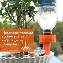 Auto Plant Watering Devices (4 Pcs Set) - dailyneed.life