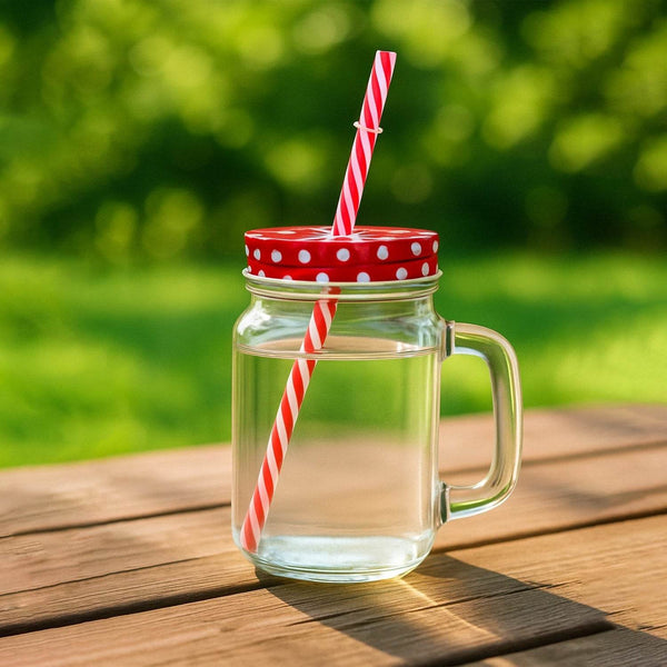 Drinking Cup / Glass / Mug Mason Jar with Handle & Straw - dailyneed.life