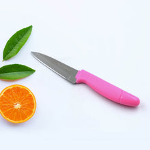 Sharp Fruit Knife (Stainless Steel, Comfortable Grip): 1 Pc - dailyneed.life