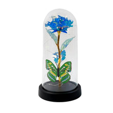 LED-Powered Eternal Rose in plastic Dome (1 Pc / Battery not Included) - dailyneed.life