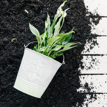 Organic Vermicompost Black Soil for Plants Health Manure (1 KG Approx) - dailyneed.life