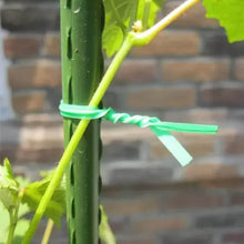Garden Wire, Sturdy Plant Ties for Support, Garden Ties with Cutter for Tomatoes Vines, Plant Wire Tie Wire for Indoor, Outdoor, Home and Office Use (50 Mtr) - dailyneed.life