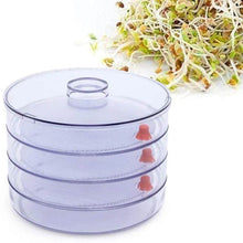 Plastic 4 Compartment Sprout Maker, White - dailyneed.life
