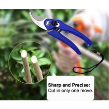 Garden Shears Pruners Scissor for Cutting Branches, Flowers, Leaves, Pruning Seeds - dailyneed.life
