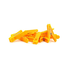 12 Pc Set Cloth Clip used in all kinds of household and official places for holding cloths and stuffs purposes. - dailyneed.life