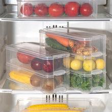 3 Fridge Storage Container, Fridge Organizer with Lid Stackable Fridge Storage Containers Plastic Freezer Storage Containers for Fish, Meat, Vegetables, Fruits, Pack of 3pcs, 1500ML Approx - dailyneed.life