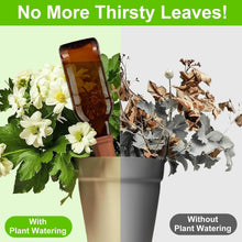 Self Plant Watering Spikes (4 Pcs Set) - dailyneed.life